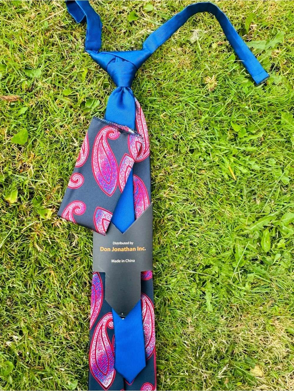 Blue and Red Paisley Tie